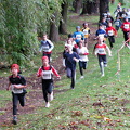 jk-2009-fot1-006