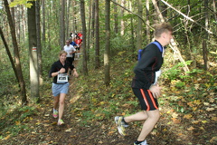 jk-2013-ew-071