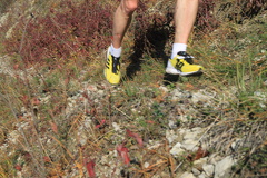 jk-2013-uh-030