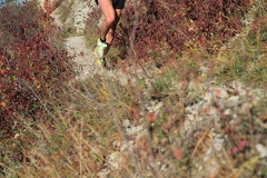 jk-2013-uh-033