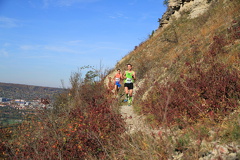 jk-2013-uh-043