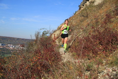 jk-2013-uh-044