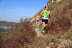 jk-2013-uh-045