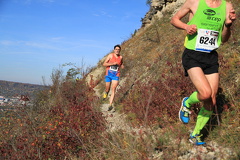jk-2013-uh-047