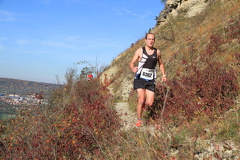 jk-2013-uh-049
