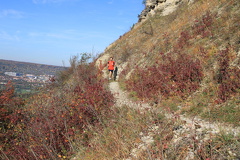 jk-2013-uh-054