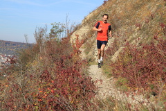 jk-2013-uh-055