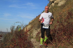 jk-2013-uh-244
