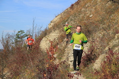 jk-2013-uh-245