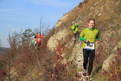 jk-2013-uh-246