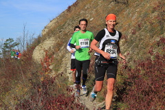 jk-2013-uh-250