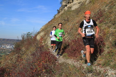 jk-2013-uh-251