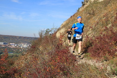 jk-2013-uh-260
