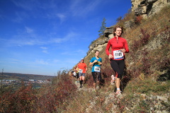 jk-2013-uh-266