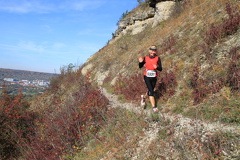 jk-2013-uh-288