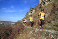 jk-2013-uh-291