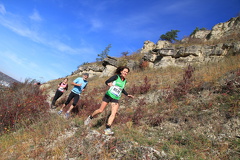 jk-2013-uh-294