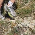 jk-2013-uh-305