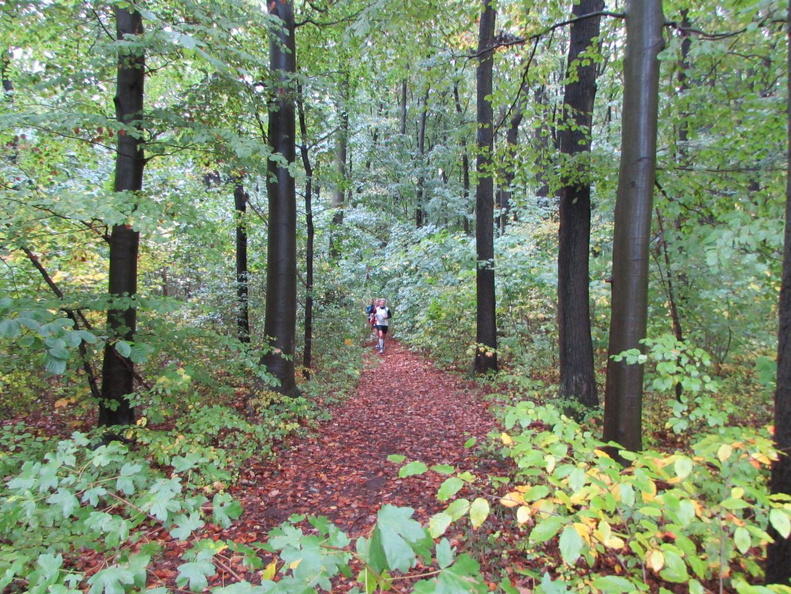jk-2015-strecke-042.jpg