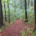 jk-2015-strecke-043