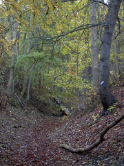 Aufstieg in Verlängerung der Kernbergstraße