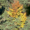 Wanderung im Kernberggebiet