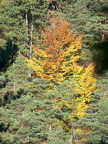 Wanderung im Kernberggebiet