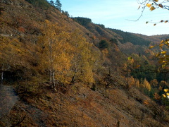 Wanderung im Kernberggebiet