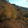 Wanderung im Kernberggebiet