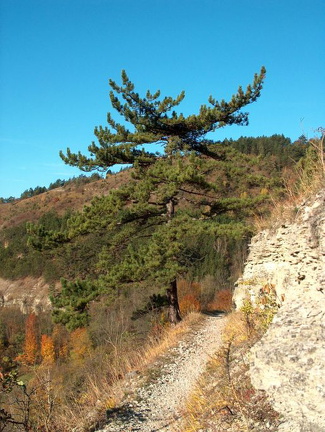 Wanderung im Kernberggebiet