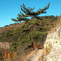 Wanderung im Kernberggebiet