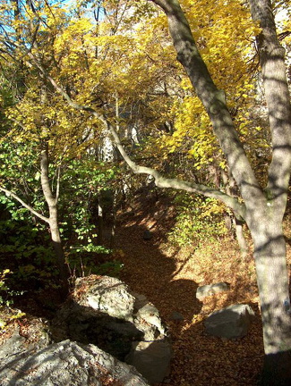 Wanderung im Kernberggebiet