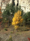 Wanderung im Kernberggebiet