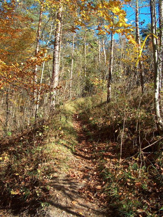 Wanderung im Kernberggebiet