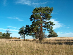 Kernbergplateau