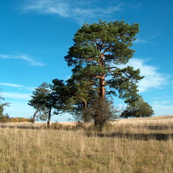 Wanderungsempfehlung