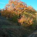 Wanderung im Kernberggebiet