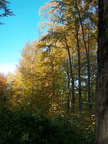 Wanderung im Kernberggebiet