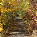 Ziegenhainer Oberweg