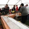 IMG 0973