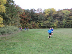 IMG 7762