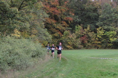 IMG 7763