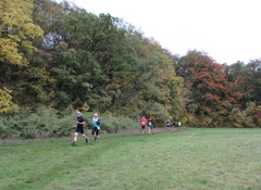 IMG 7767