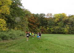 IMG 7774