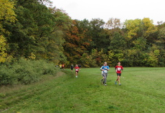 IMG 7778