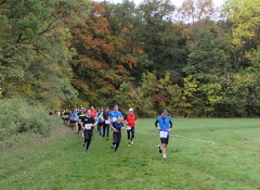 IMG 7779