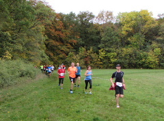 IMG 7782