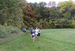 IMG 7783