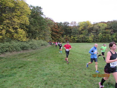 IMG 7785