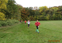 IMG 7786